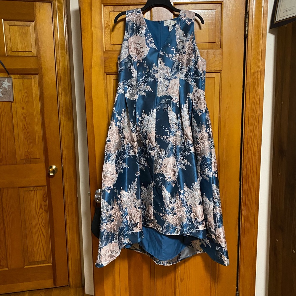 Hi Low gem. Eliza J dress